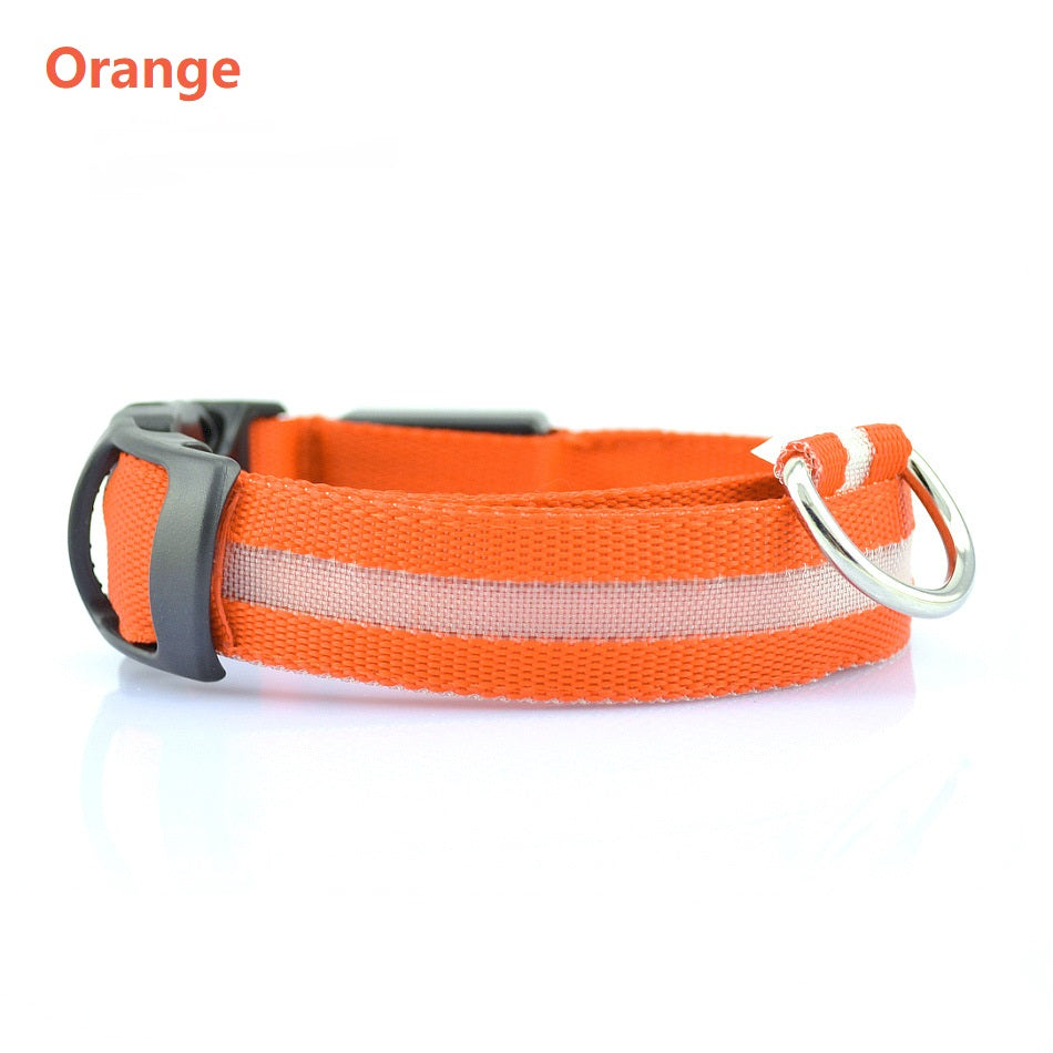 Collare LED per cani visibili anche di notte