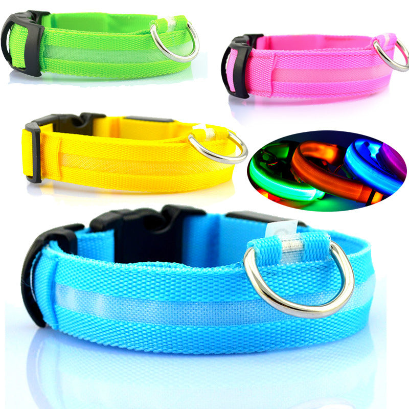 Collare LED per cani visibili anche di notte