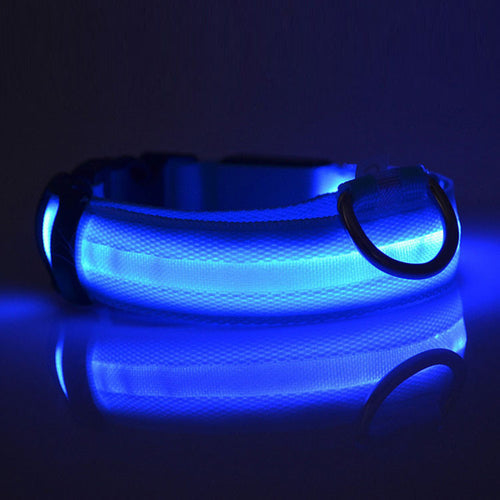 LED collar for dogs visible even at night