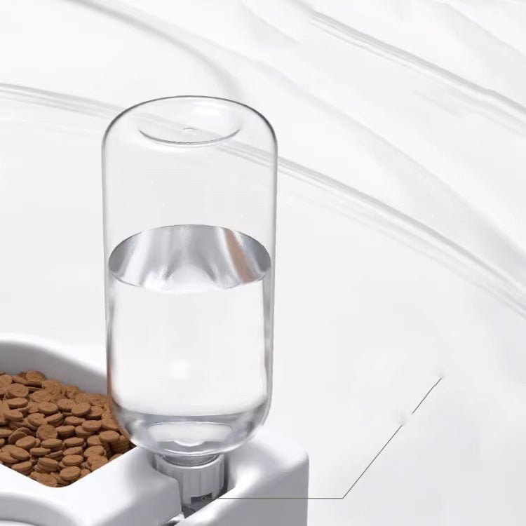 Fontanella d’acqua per cani e gatti sempre idratati